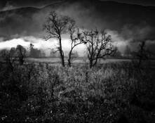 Morning Magic by Laszlo Perlaky