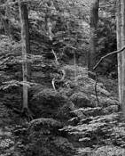 Canyon Wall by Mark Moulthrop