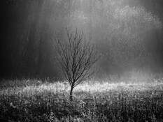 Audience of One by Mark Seawell