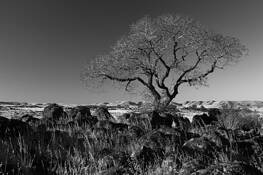 Them Hills by Marshall Gould