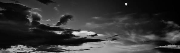 Moonrise Over Gathering Clouds by Misha Gregory Macaw