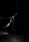 Antelope Canyon by Pohan Wu