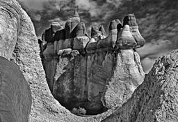 Arizona by Robert Davis