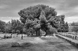 Agrigento 3 by Ronaldo Pichardo