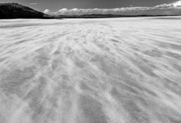 Sandstorm at Budle Bay by Stephen Hodgetts