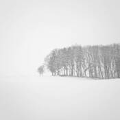 Snow Storm by Wilco Dragt