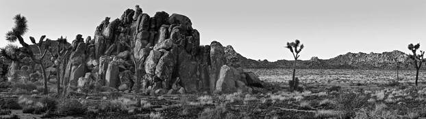 Pano by William Saul