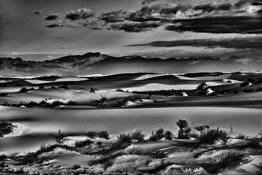 Shadow Play by Willow Brown