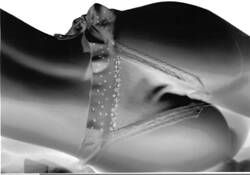 Rear View by Alan Wood