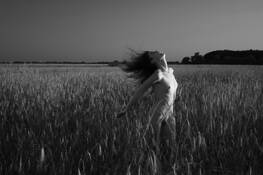 Untitled 3 by Alexander Velasquez