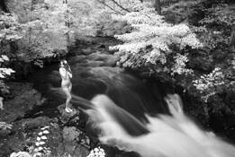 Untitled 12 by Anthony DiMatteo