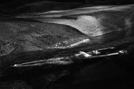 Untitled 2 by Bob Barks