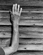 The Weathered Look by Dan Richard Barber