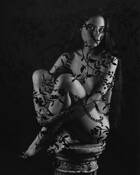 Behind the Veil by Doug Earle