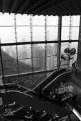 Victoria Peak Sky Terrace by Dennis Greenhill