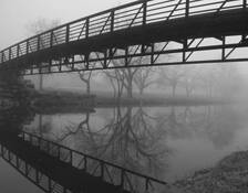 One Foggy Morning by Doug Farrell