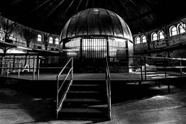 The Birdcage by Elizabeth Milward