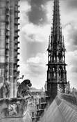 Sur Le Toit De Notre Dame by Ellen G. Ingram