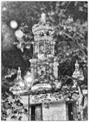 Our Lady of Guadalupe by Jill Flyer