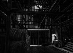 The Barn by Marvin Basil