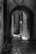 Street Detail by Franka M. Gabler