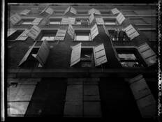 Window View by Rafael Gonzalez