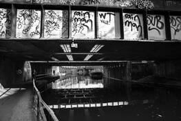 Graffiti by Ross Kaplan