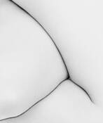 Folds Study 23 by Howard Schatz