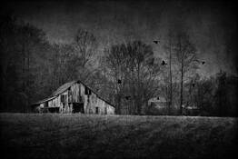 Gone but Not Forgotten by Steve Burkett