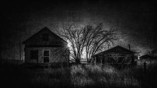 She Didnt Wait by Steve Burkett