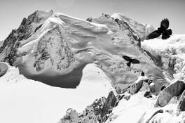Choucas & Mt Blanc (4810M) by Peter Schoen