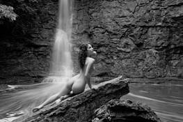 Sativa #1 by James David