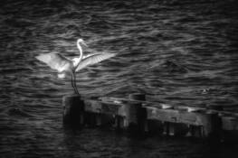 Outer Banks Shores 1 by James Hunt