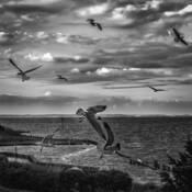 Outer Banks Shores 2 by James Hunt