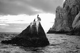 Refuge by Larry Kincaid
