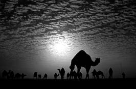 Friday Morning by Thomas D. Walczyk