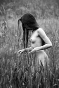 Nude in Wheat Field by John Hildebrand