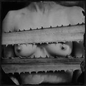 A Very Still Life by Kevin Merfeld