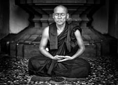 Monk by Gordon E. Chait
