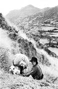 Girl With Sheep in the Andes by Jack Feder