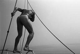 Swimmer by Philip R. Terman