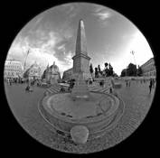 Piazza Del Popolo by David N. Hyman