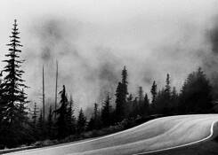 Road to Hurricane Ridge by Scott Pollock