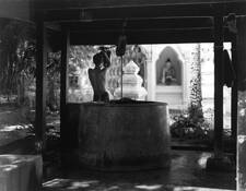The Bather by Steven Garon