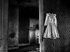 The Dress by James L. Amos