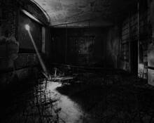 Single Blade by Davido Rossi