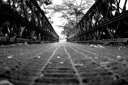Oldest by Andres Figueroa