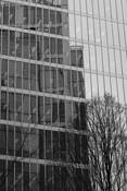 Streets Mirrors by Andres Figueroa