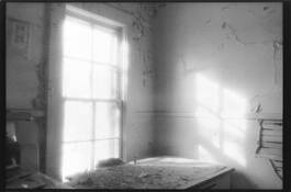 Window Light by Bruce Forbes