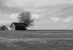 Homestead by Sherrylou Blower